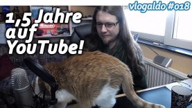 1,5 Jahre auf YouTube! // vlogaldo #018