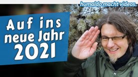 2020 ist vorbei – Auf ins NEUE JAHR 🥳 • humaldo macht videos.