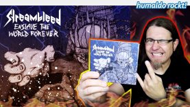 Das GROOVE METAL Blut fließt in Strömen • Album Vorstellung
