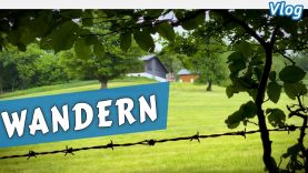WANDERN in St. Veit an der Gölsen • Vlog